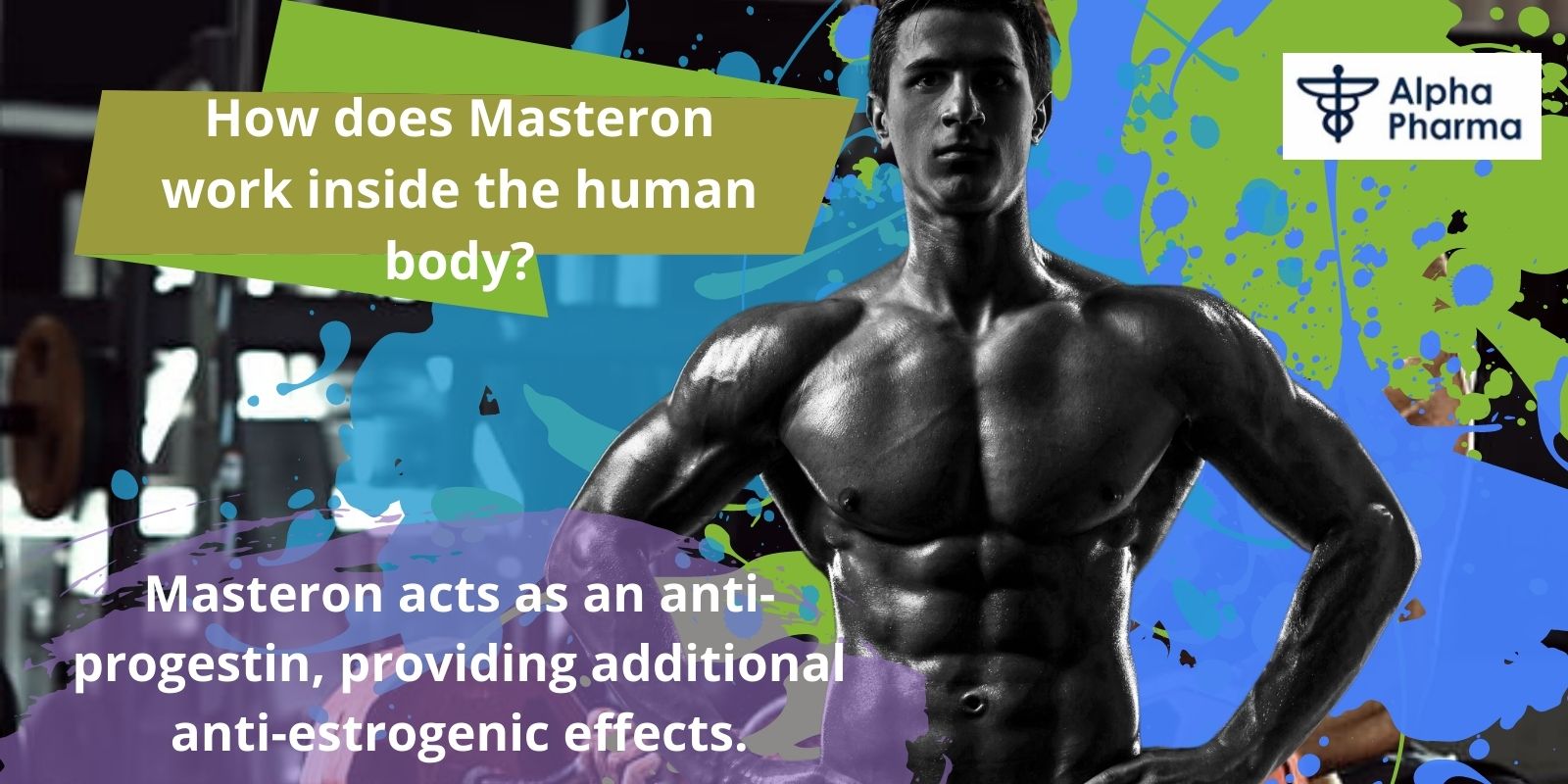 How does Masteron work inside the human body_